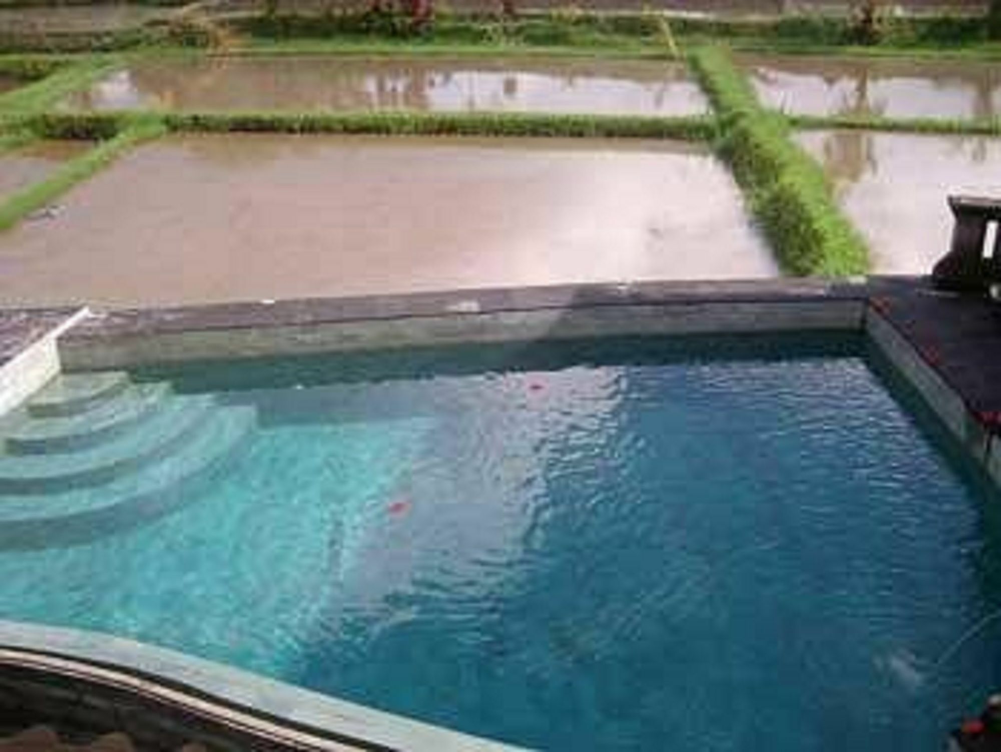 Ala'S Green Lagoon Ubud Exterior foto